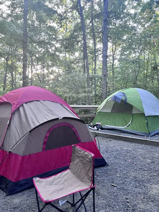 McDowell Campground Picture 5