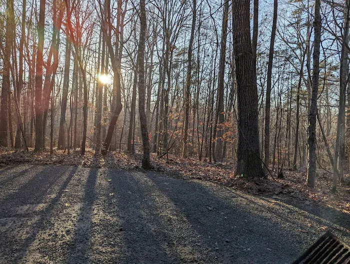 McDowell Campground Picture 8