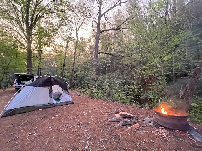 Horseshoe Bend Family Campground Picture 4