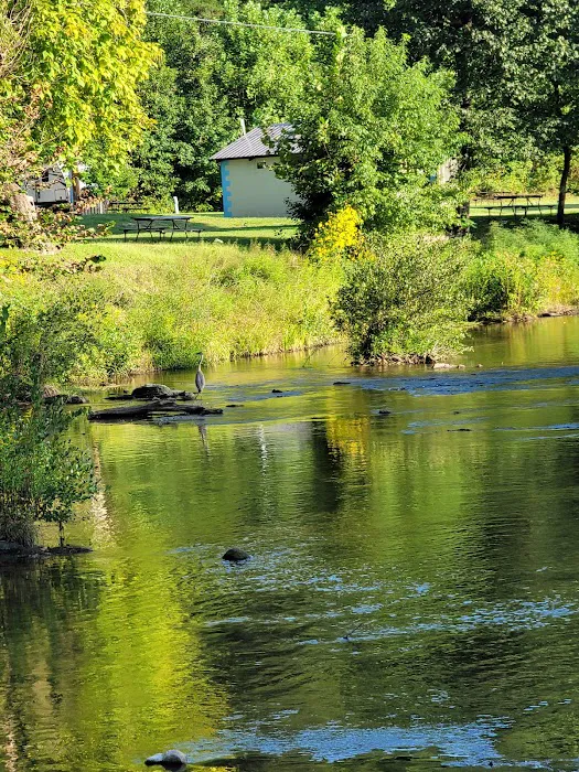 Steel Creek Park & Family Campground Picture 8