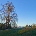 Camp Attocoa (TENT ONLY)