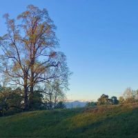 Camp Attocoa (TENT ONLY) ico