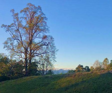 Camp Attocoa (TENT ONLY)