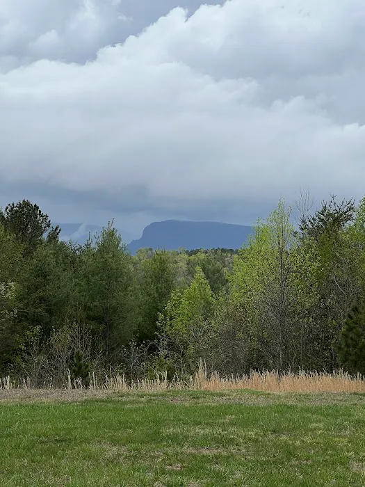 Paddy's Creek Campground Picture 9