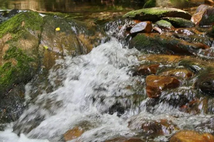 Paddy's Creek Campground Picture 2