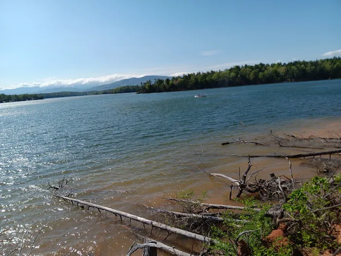 Paddy's Creek Campground Picture 3