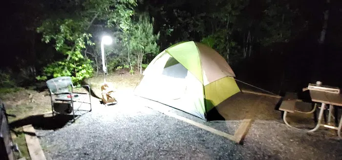 Paddy's Creek Campground Picture 8