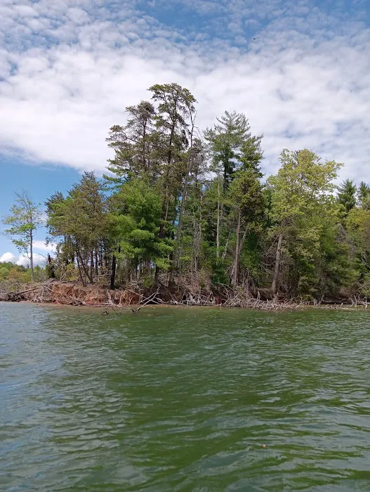 Paddy's Creek Campground Picture 5