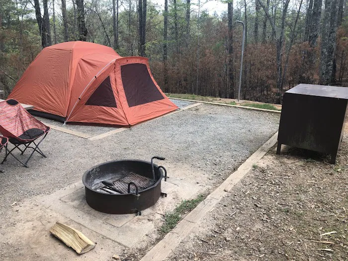 Paddy's Creek Campground Picture 10