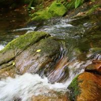 Paddy's Creek Campground ico