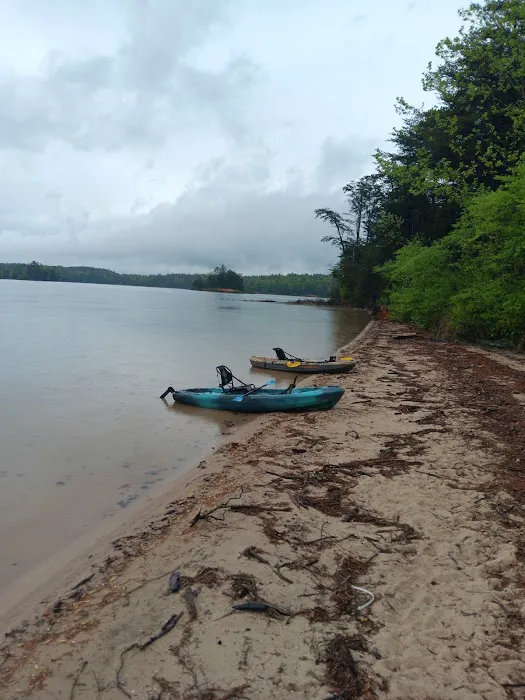 Paddy's Creek Campground Picture 4