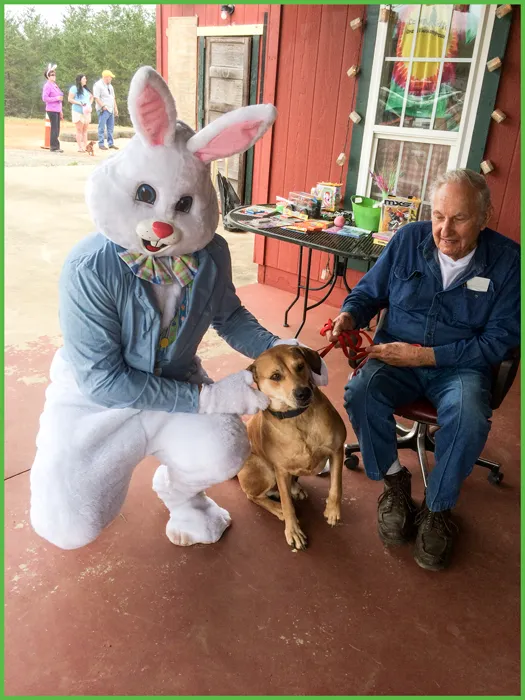 Grand View Campground & RV Park Picture 5