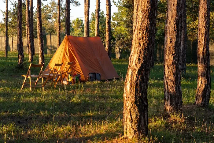 Patriot Getaway Picture 2