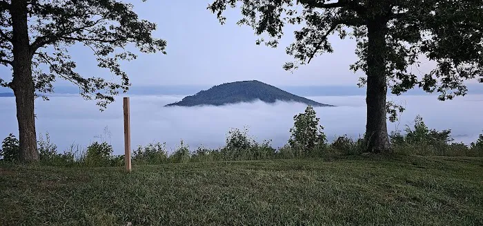 Bolin Knob Meadows Picture 6