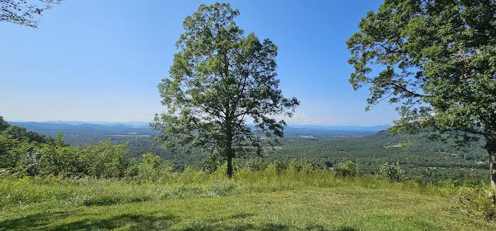 Bolin Knob Meadows Picture 5