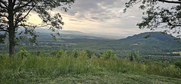 Bolin Knob Meadows Picture 7