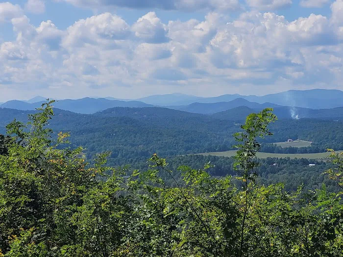 Bolin Knob Meadows Picture 8
