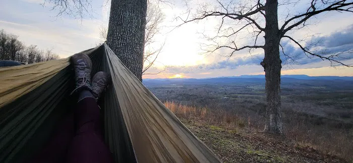 Bolin Knob Meadows Picture 1