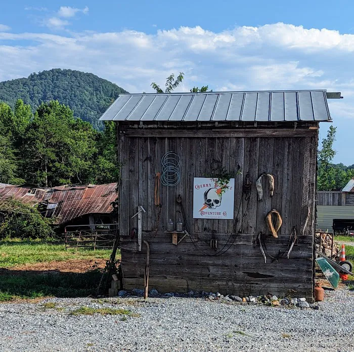 Cherry Bounce Adventure Co., Camping & ATV/SXS Resort Picture 2