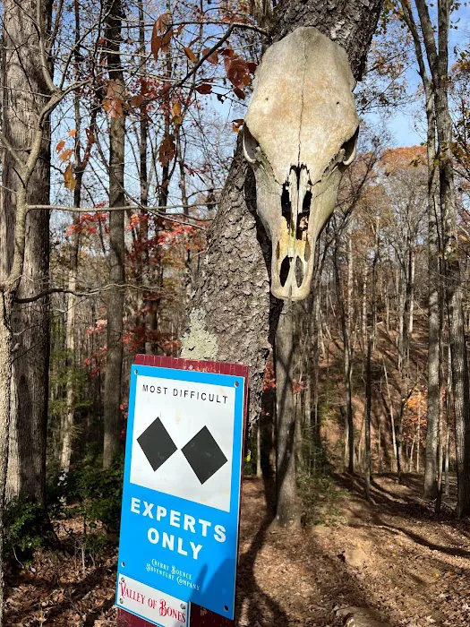 Cherry Bounce Adventure Co., Camping & ATV/SXS Resort Picture 6