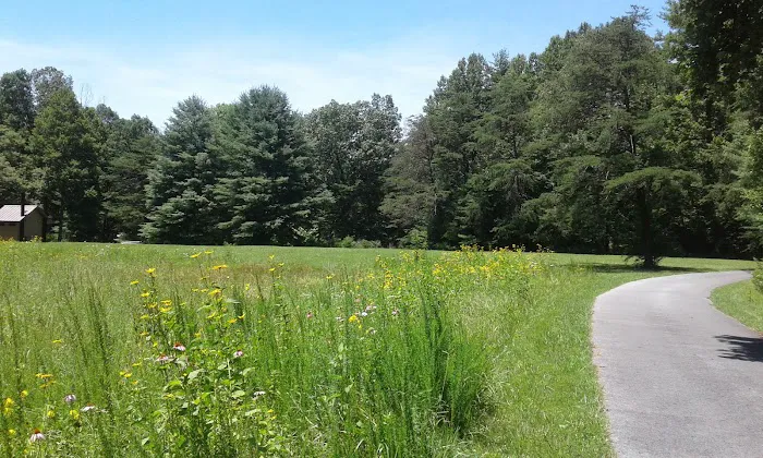 Little Oak Campground Picture 1