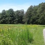 Little Oak Campground