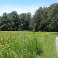 Little Oak Campground ico