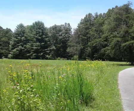 Little Oak Campground