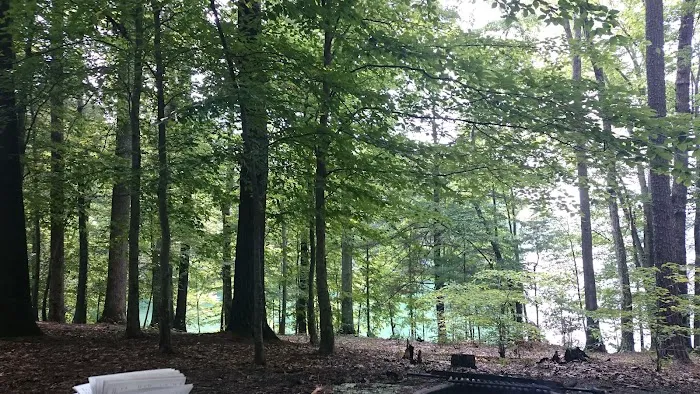 Little Oak Campground Picture 7