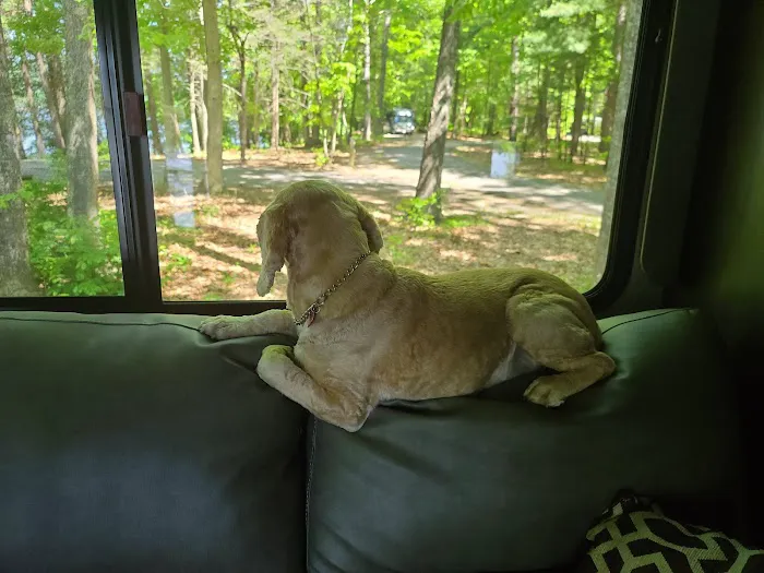 Little Oak Campground Picture 5