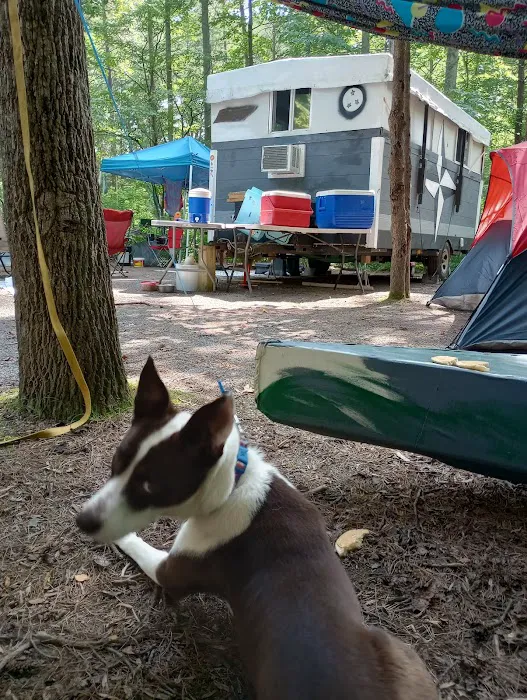 Little Oak Campground Picture 8