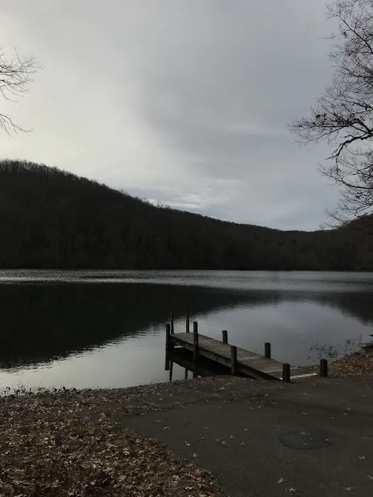 Bark Camp Recreation Area Picture 2