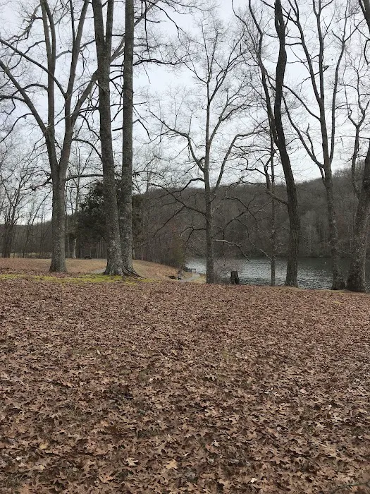 Bark Camp Recreation Area Picture 9