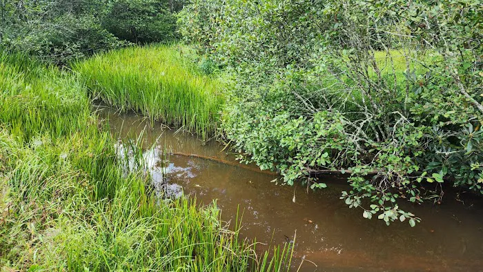 Bark Camp Recreation Area Picture 3