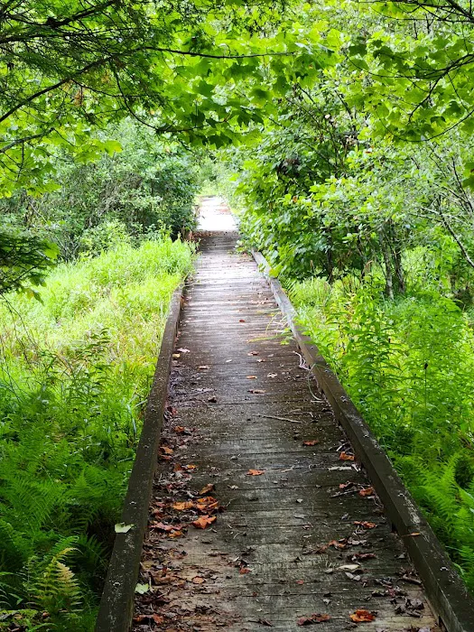 Bark Camp Recreation Area Picture 8