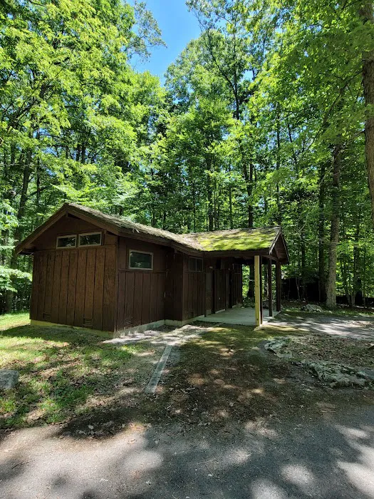 Bark Camp Recreation Area Picture 7