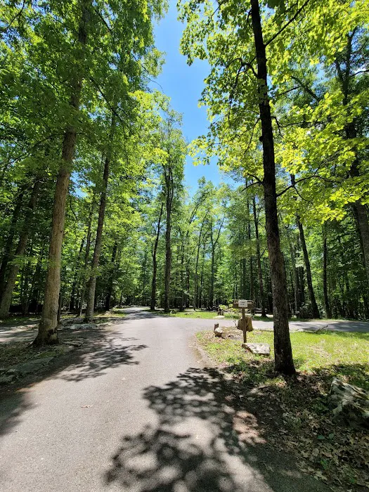 Bark Camp Recreation Area Picture 6