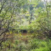 Bark Camp Recreation Area ico