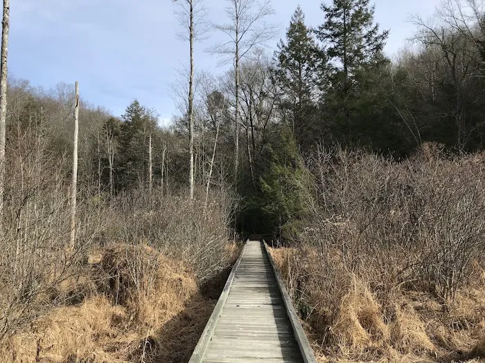 Bark Camp Recreation Area Picture 5