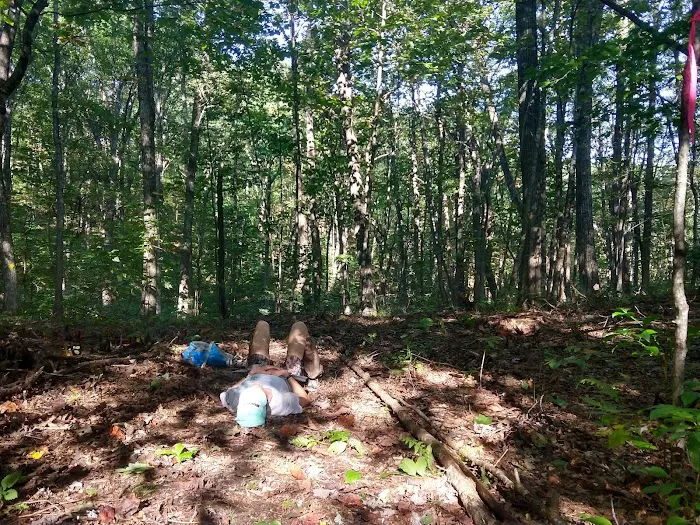 Bark Camp Recreation Area Picture 4