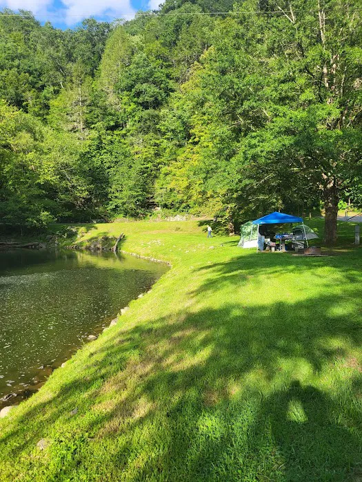 Cranesnest Campground Picture 1