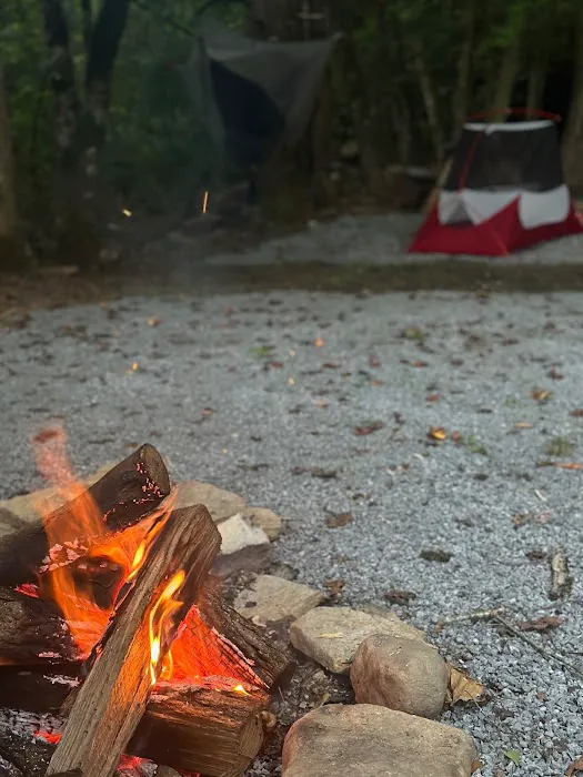 Devils Fork Campground Picture 5