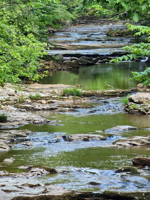 Devils Fork Campground Picture 3