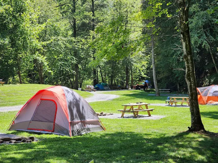 Devils Fork Campground Picture 9