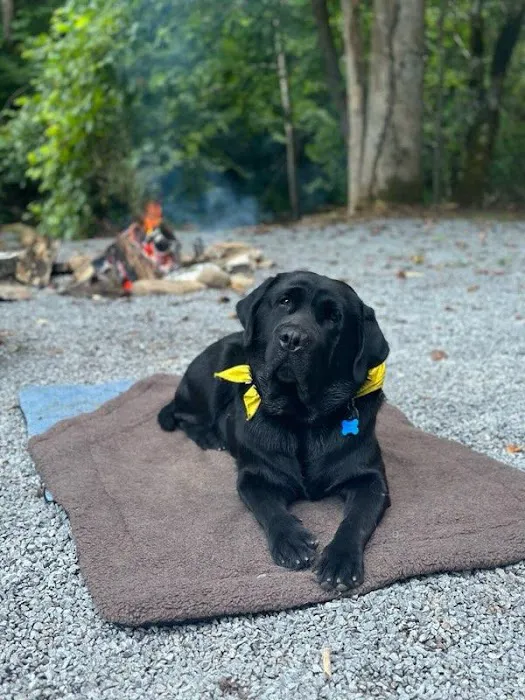 Devils Fork Campground Picture 2