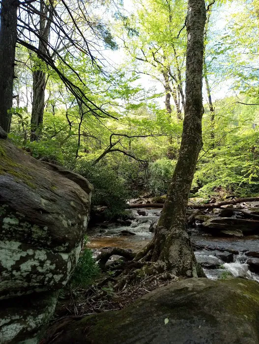 Flintlock Campground Picture 10