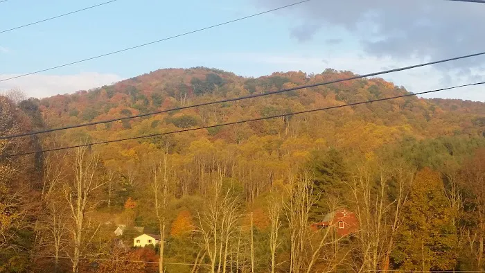 Vanderpool Campground Picture 3