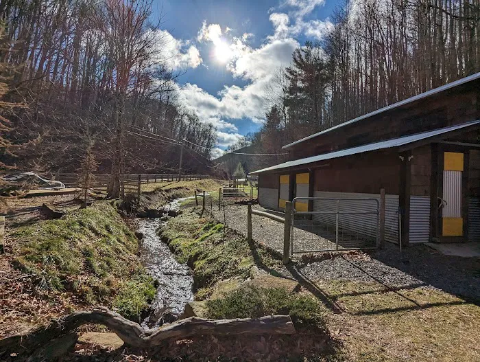 Buttermilk Acres Picture 10