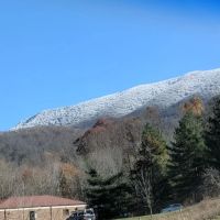 Buttermilk Acres ico