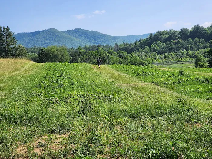 Doe Valley Campground Picture 2